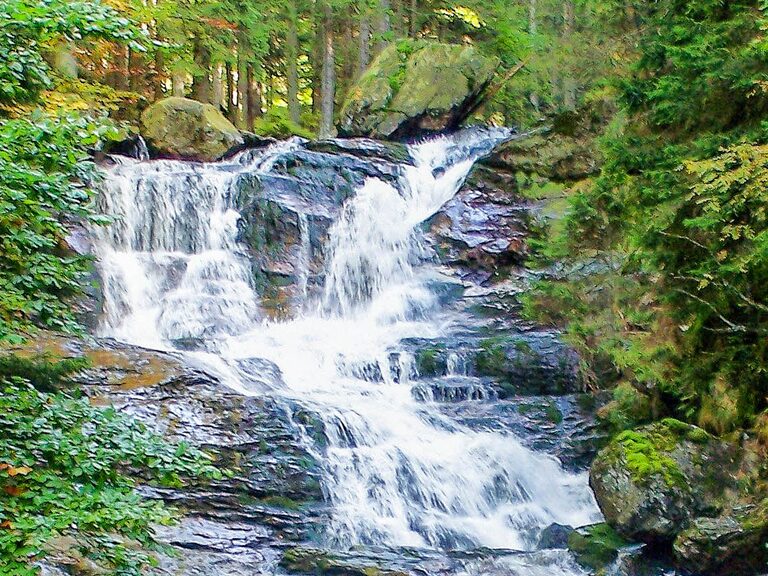Klarer Bach fließt durch den Wald im Bayerischen Wald