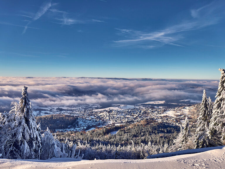 Blick über die verschneiten Bäume im Winterwunderland des Bretterschachten Bodenmais.