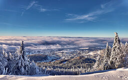 Blick über die verschneiten Bäume im Winterwunderland des Bretterschachten Bodenmais.