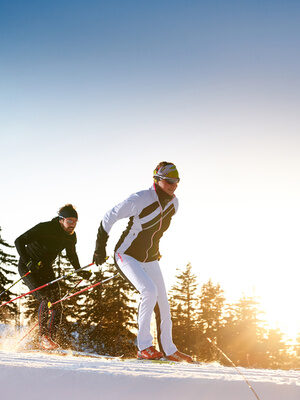 Zwei Langläufer genießen ihre Zeit beim Wintersport im Bayerischen Wald.