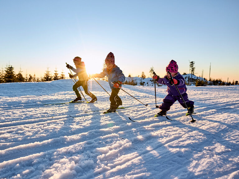 Eine Gruppe von kleinen Kindern lernen das Langlaufen im Bayerischen Wald.