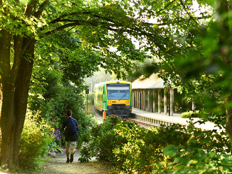 Ein Zug fährt durch einen üppigen grünen Wald im Bayerischen Wald.
